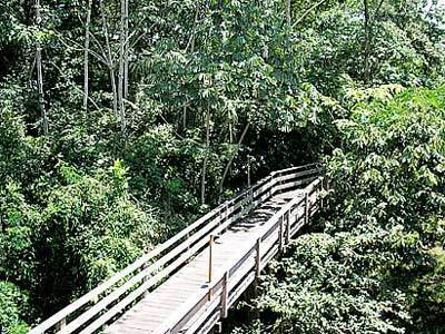 Pakaas Palafita Lodge Guayaramerim Bagian luar foto